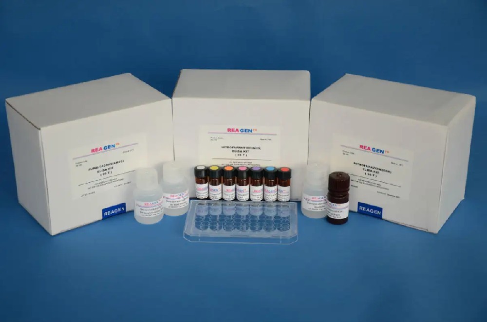 HX-D5001FITC-Annexin VPI 细胞凋亡试剂盒